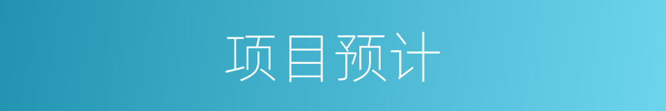 项目预计的同义词