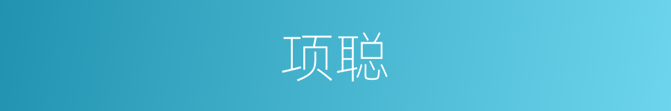 项聪的同义词
