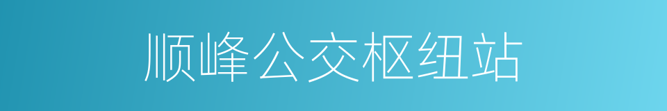 顺峰公交枢纽站的同义词