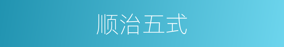 顺治五式的同义词