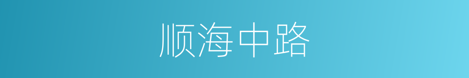 顺海中路的同义词