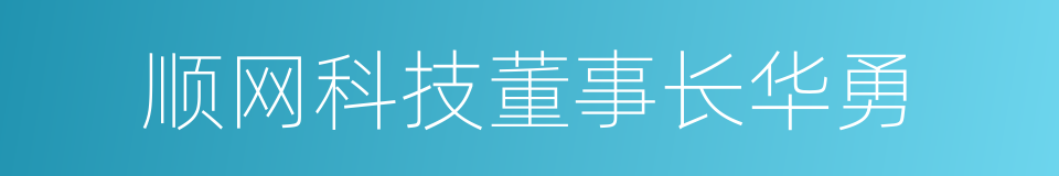 顺网科技董事长华勇的同义词