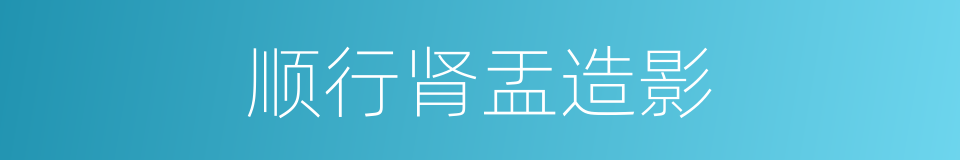 顺行肾盂造影的同义词