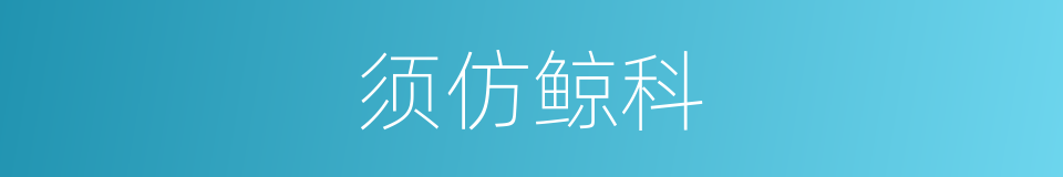 须仿鲸科的同义词