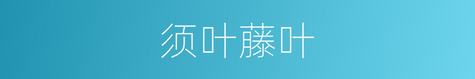 须叶藤叶的同义词