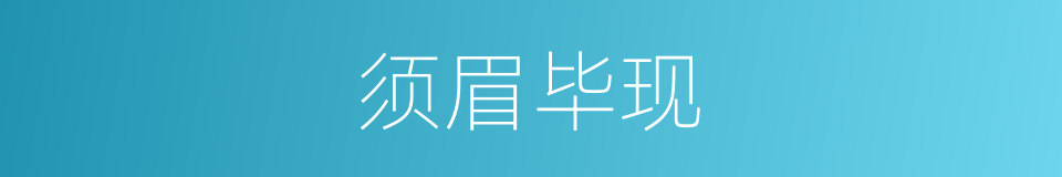 须眉毕现的意思