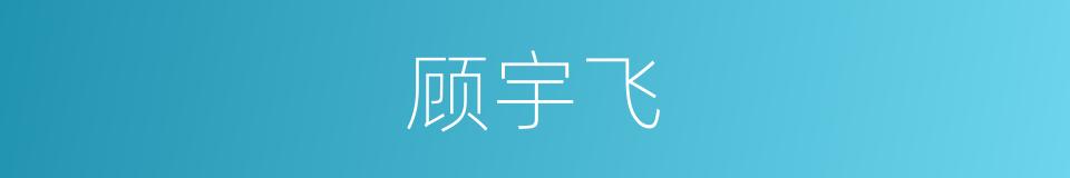 顾宇飞的同义词