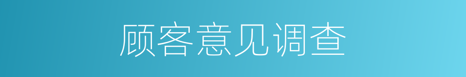 顾客意见调查的同义词