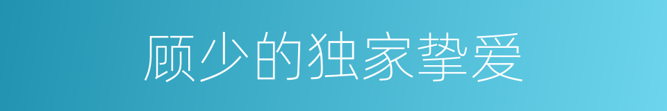 顾少的独家挚爱的同义词