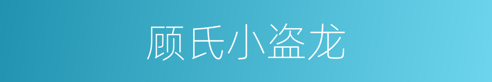 顾氏小盗龙的同义词