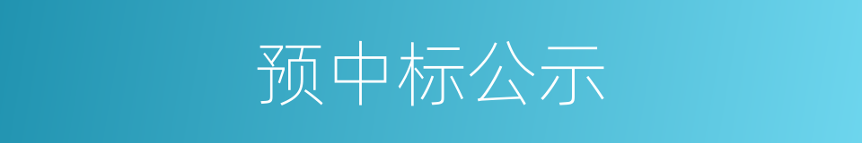 预中标公示的同义词