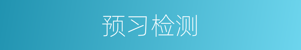 预习检测的同义词