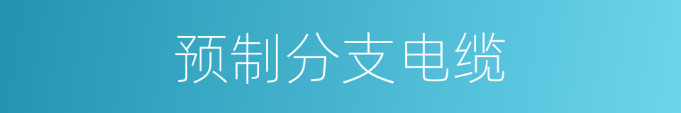 预制分支电缆的同义词