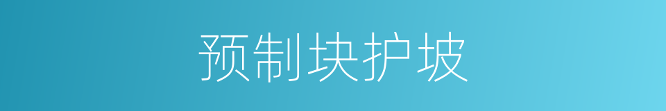 预制块护坡的同义词