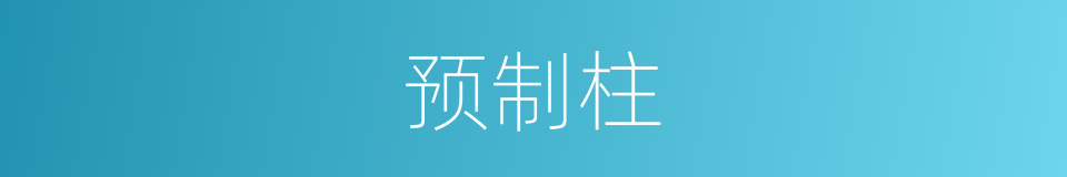 预制柱的同义词