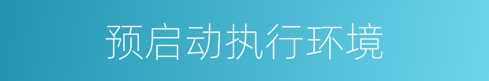 预启动执行环境的同义词
