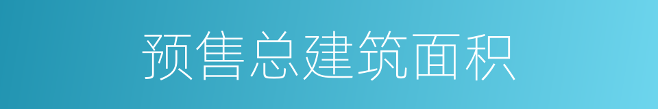 预售总建筑面积的同义词