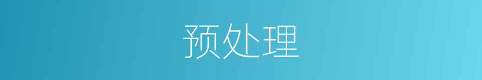 预处理的意思