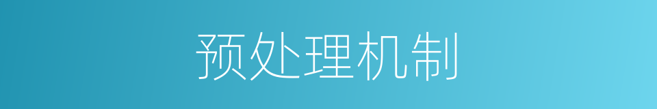 预处理机制的同义词