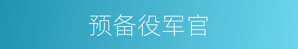 预备役军官的同义词