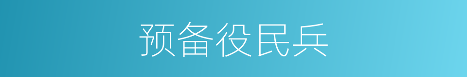 预备役民兵的同义词