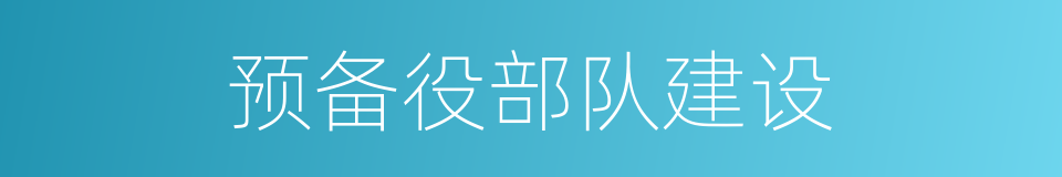 预备役部队建设的同义词