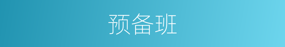 预备班的同义词