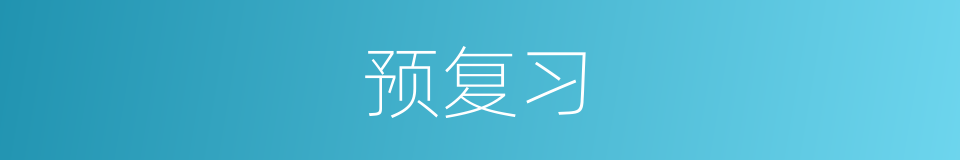 预复习的同义词