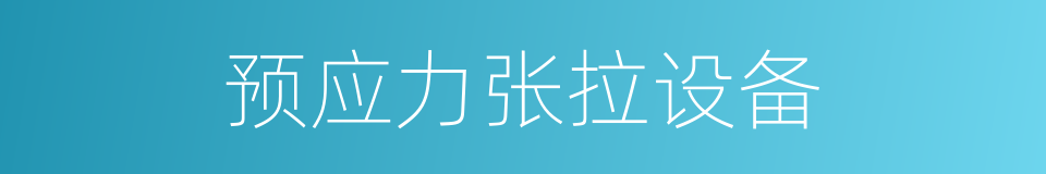 预应力张拉设备的同义词