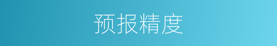 预报精度的同义词