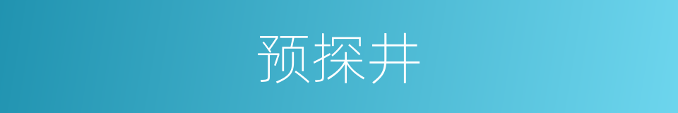 预探井的同义词