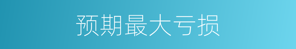 预期最大亏损的同义词