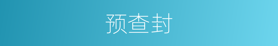 预查封的同义词