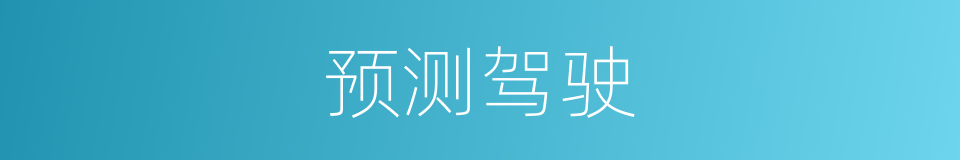 预测驾驶的同义词