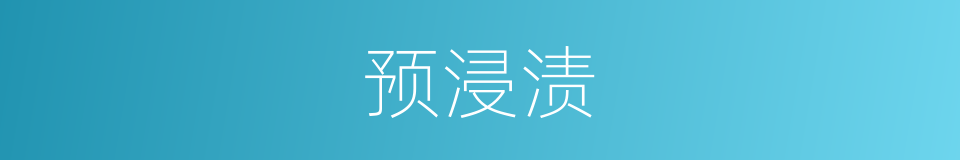 预浸渍的同义词