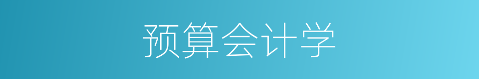 预算会计学的同义词