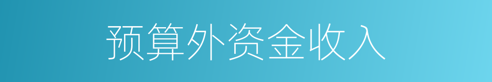 预算外资金收入的同义词