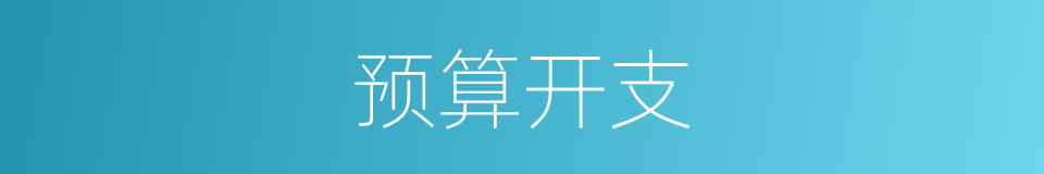 预算开支的同义词