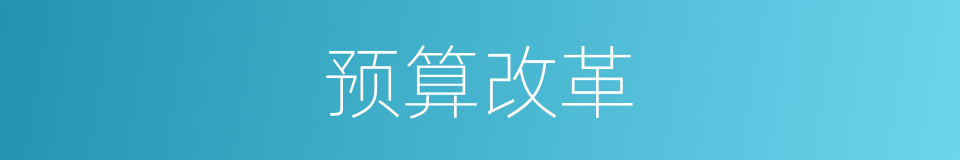 预算改革的同义词