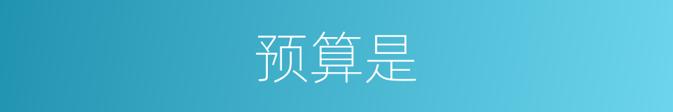 预算是的意思