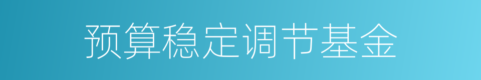 预算稳定调节基金的同义词