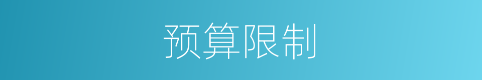 预算限制的同义词