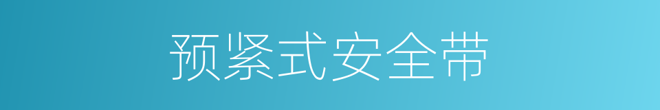 预紧式安全带的同义词