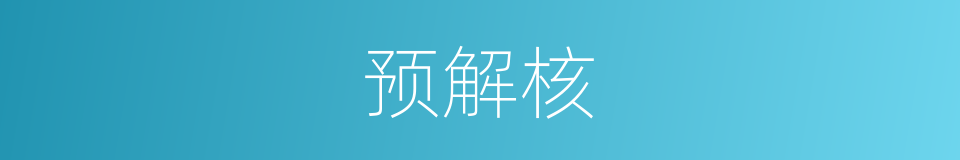 预解核的同义词