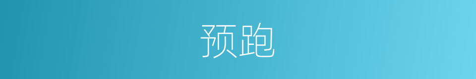 预跑的同义词