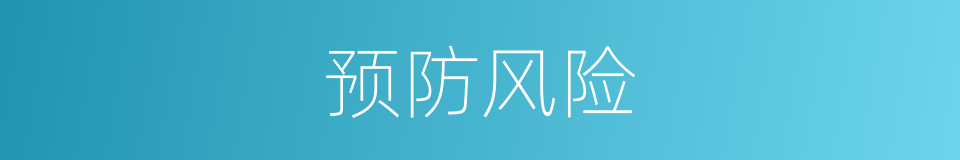 预防风险的同义词