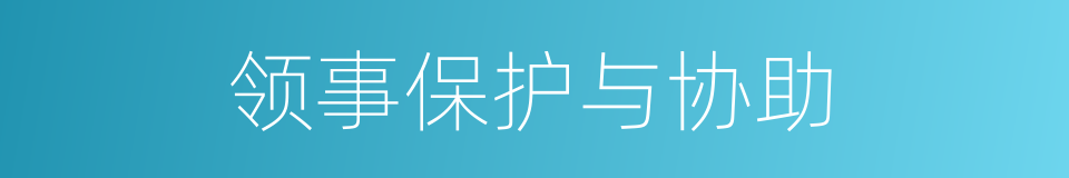 领事保护与协助的同义词