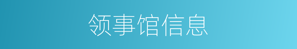 领事馆信息的同义词