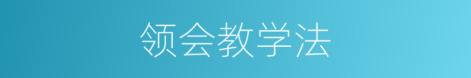 领会教学法的同义词