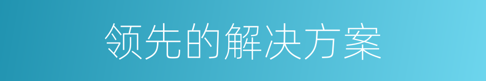 领先的解决方案的同义词